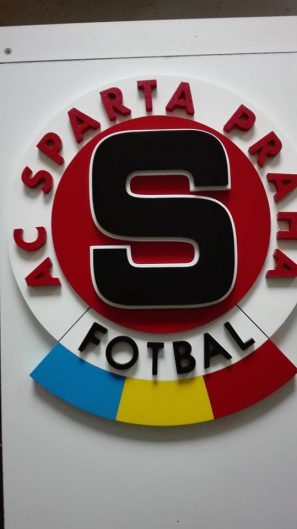 logo ACS